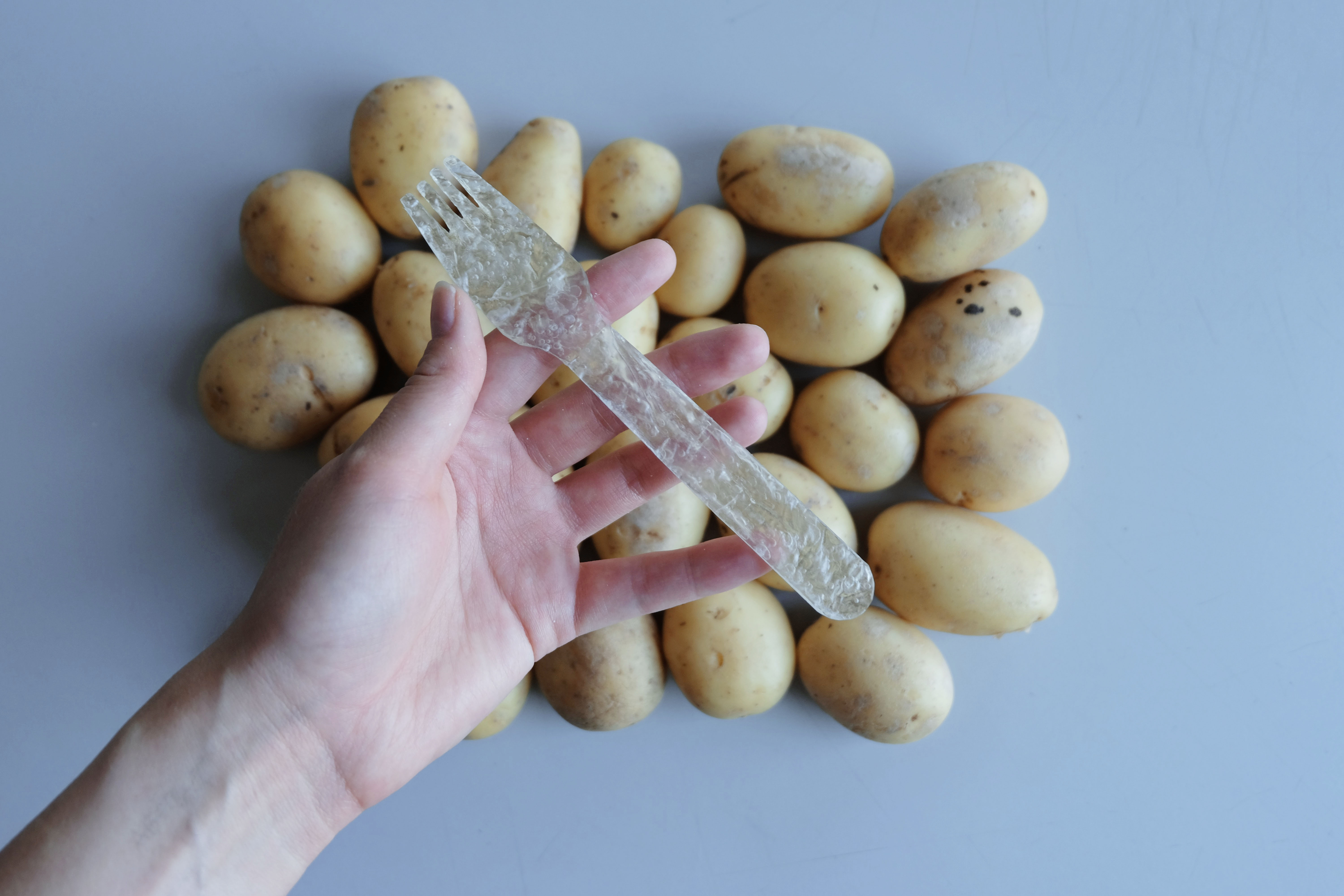 Suède : un plastique végétal à base de pommes de terre