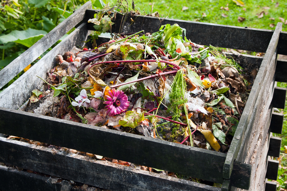 Quatre conseils pour un compost sans moucherons