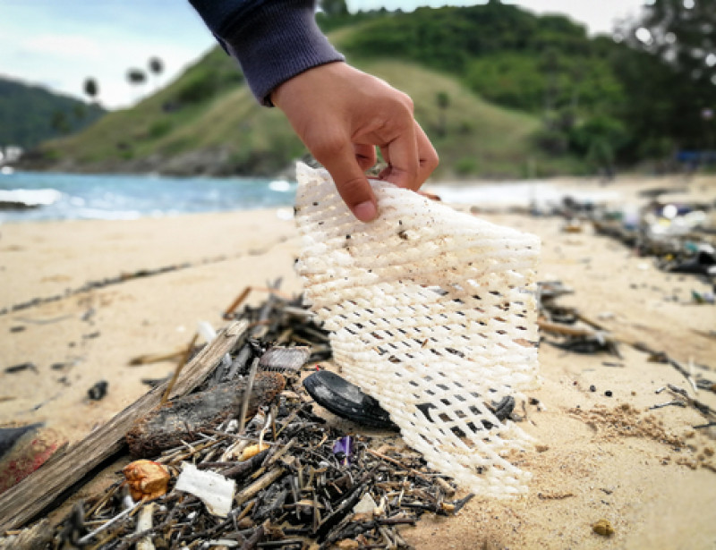 Les opérations de nettoyage des plages se multiplient : comment y  participer ?