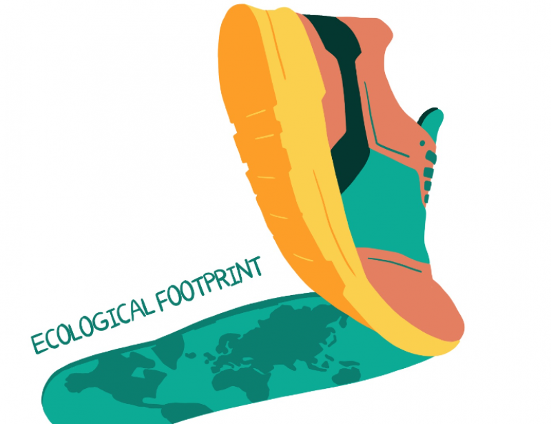 Mode écologique : et si vous adoptiez des chaussures durables et éco-  responsables ?