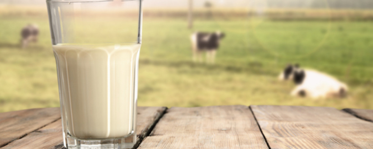 Les laits végétaux plus nutritifs que le lait? Faux