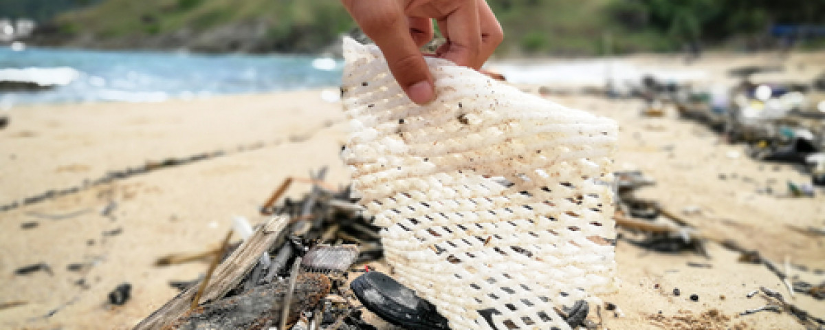 Les opérations de nettoyage des plages se multiplient : comment y  participer ?
