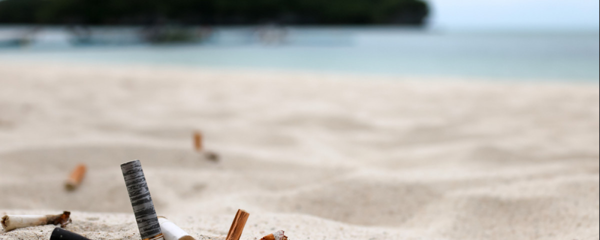 Sous le parasol, plus de clope ? Des plages expérimentent les vacances sans  tabac