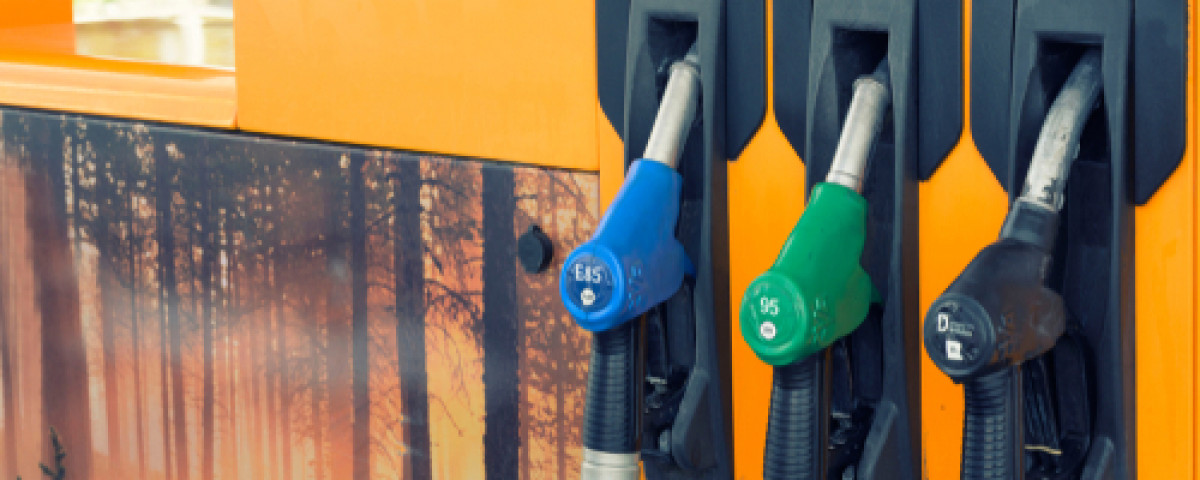 Carburants de demain : les alternatives plus écologiques à l'essence et au  diesel