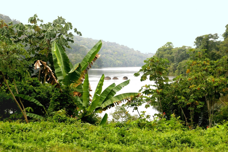 Vers Une "reprise" Du Projet "Montagne D'or" En Guyane