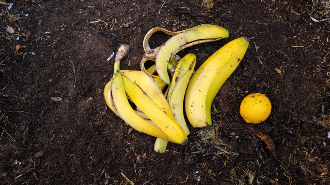 Six idées zéro déchet pour réemployer la peau de banane